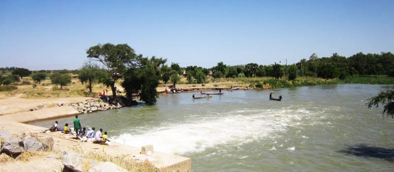 hb_certif_2 (Copier)